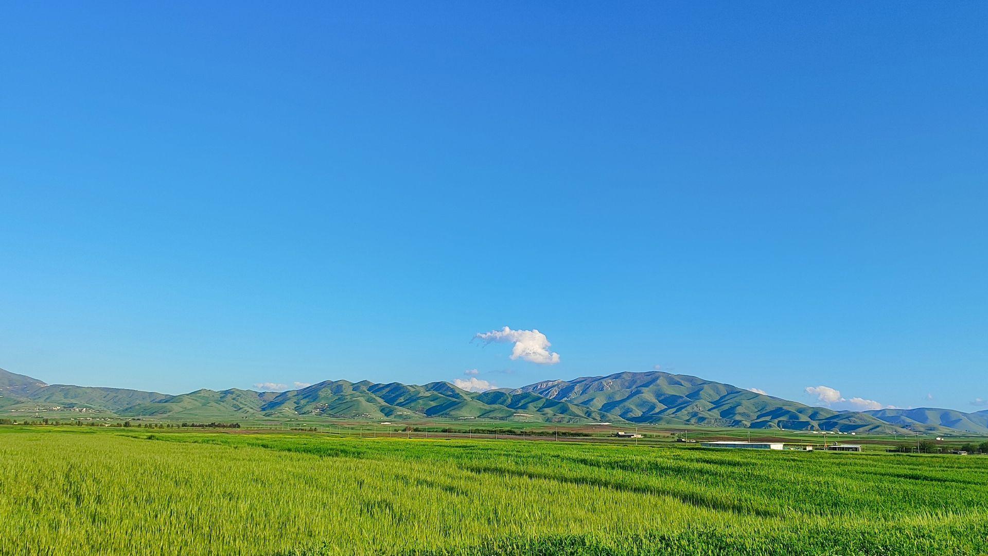 کەشناسی: کەشەکەی بەهارەیە و پلەی گەرماش گۆڕانکاری بەسەردا نایەت